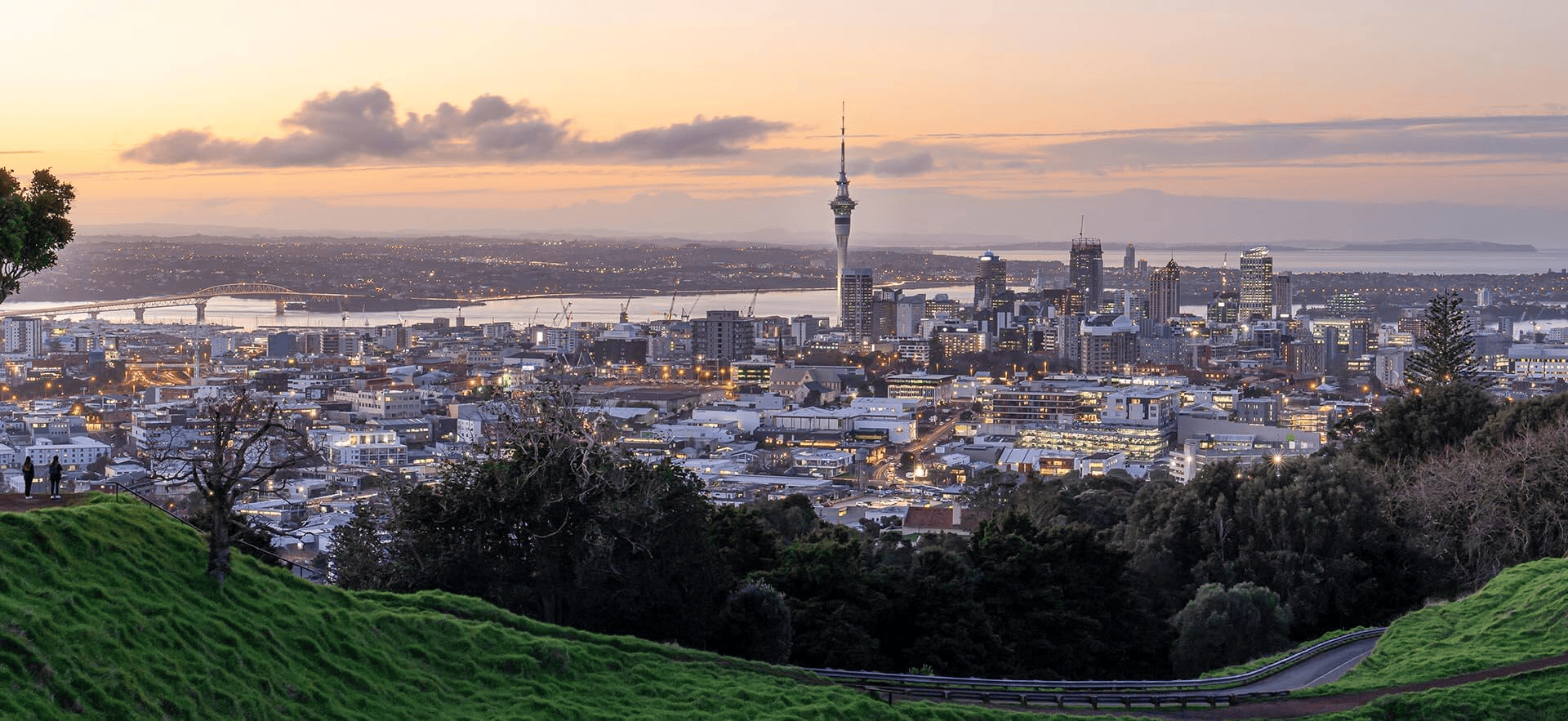 New Zealand Office city view